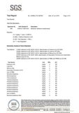 RoHS Eco Safty Testing Report_2.jpg