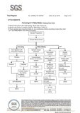 RoHS Eco Safty Testing Report_4.jpg